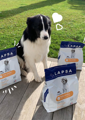 croquettes pour chiens à Bailly dans les Yvelines 78