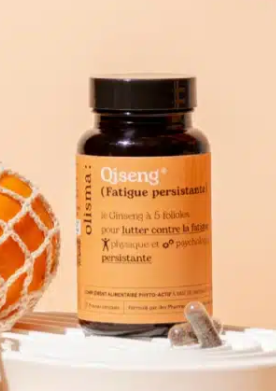 Qiseng Fatigue Persistance