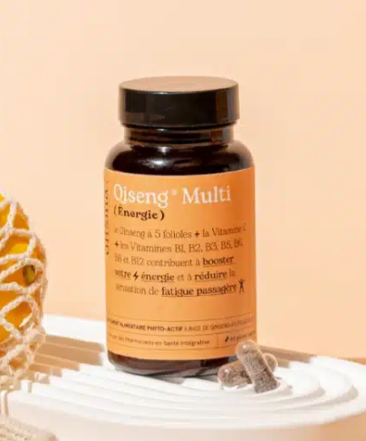 Qiseng Multi Energie